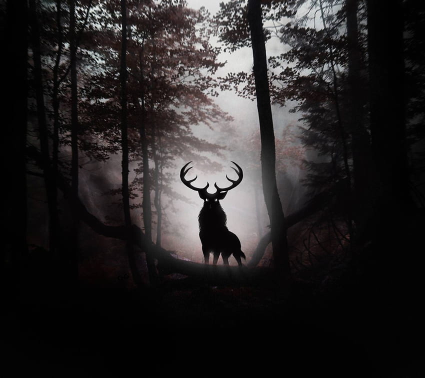 Deer - by ZEDGEâ, Galaxy Deer HD wallpaper